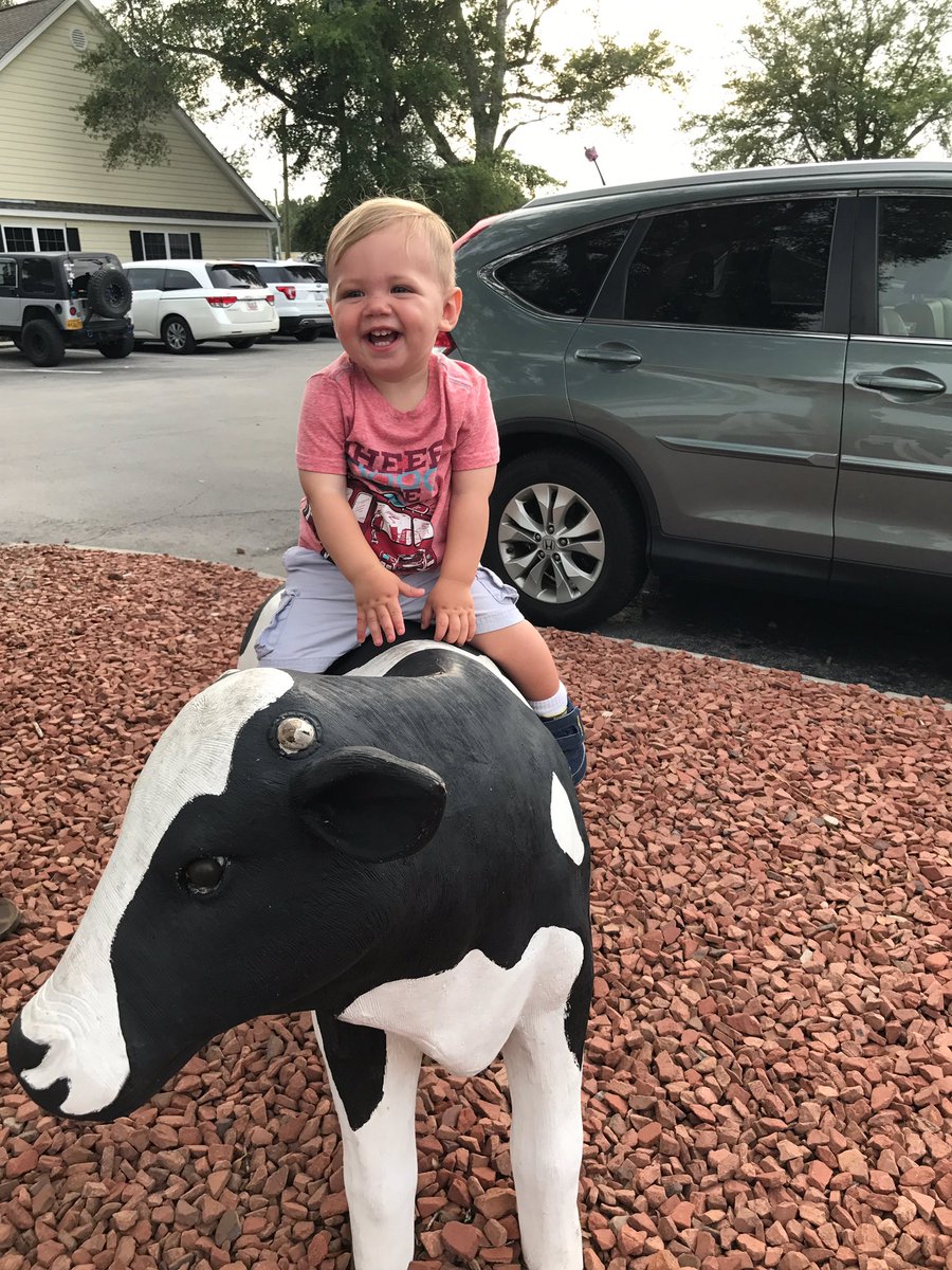 TheoReactionss's tweet image. Wish they let us ride the real cows in Texas #CattleRide #LetsDoThis #TexasLife