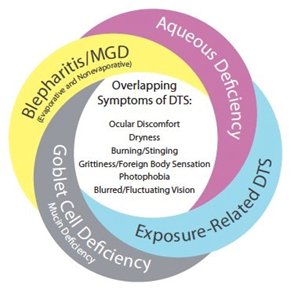 VisionOptique's tweet photo. Pathology behind #dryeye disease.
.
.
#visionoptique #optmetry #optometrist #meibomianglands #dryeyemonth https://t.co/tduCofybCD
