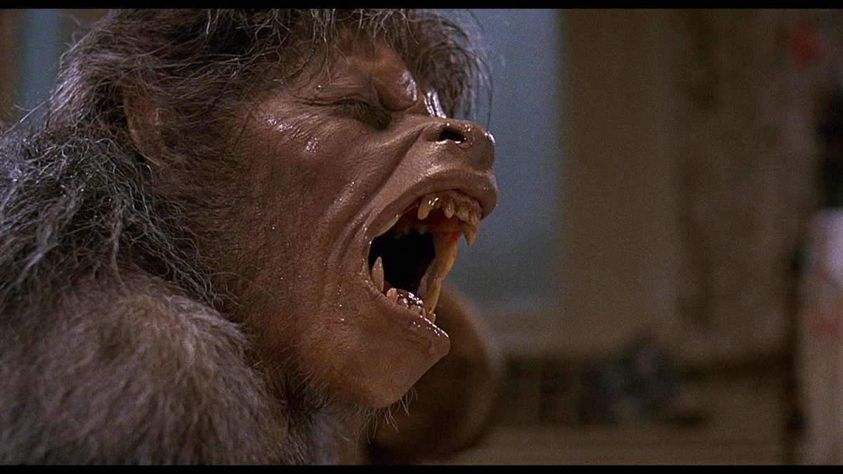 HorrorFFestATL's tweet photo. Max Landis Talks Using Practical Effects in American Werewolf in London Remake - Horror Movie News and Reviews https://t.co/rO0PpxhSMd https://t.co/DVAn71WSph