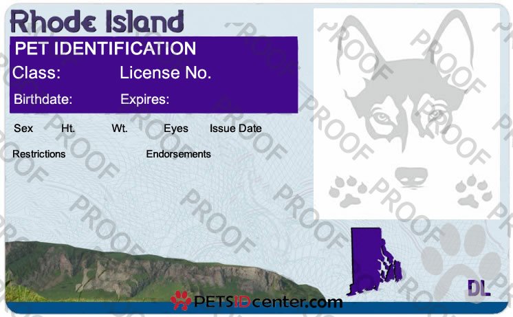 petsidcenter's tweet photo. #petdriverslicense Rhode Island Pet ID TAG https://t.co/INuWM715kb https://t.co/p3CJKPT1qn