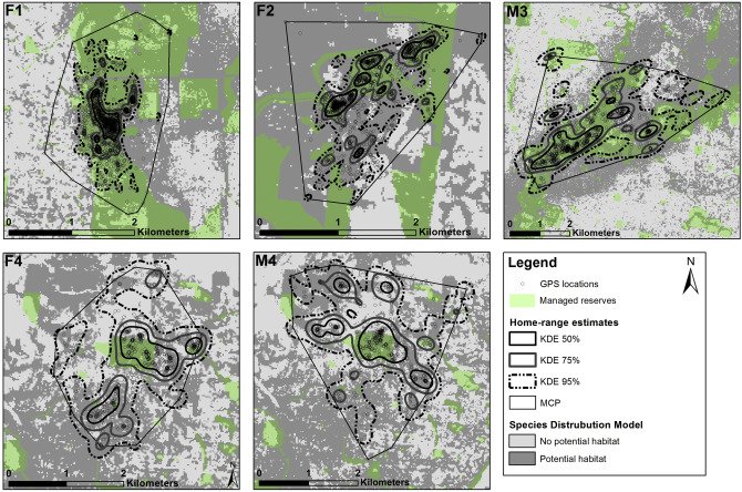 HOT OFF PRESS: SDMs derived from #citsci data predict
fine scale movements of powerful owls in an urban landscape
authors.elsevier.com/a/1VKjP1R~e71Zi