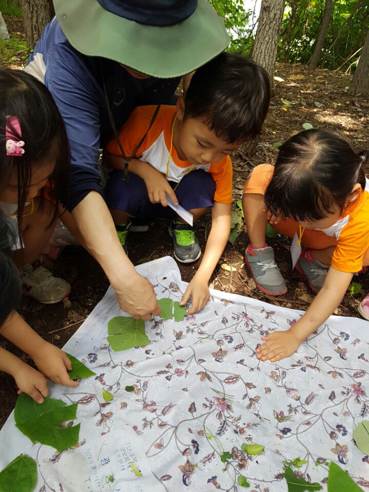 숲 선생님과 함께 나뭇잎 모양탐색하고 나뭇잎을 이용해 퍼즐놀이, 모양 맞추기 놀이를했어요^^  숲에서는 놀잇감이 따로필요없네요~~