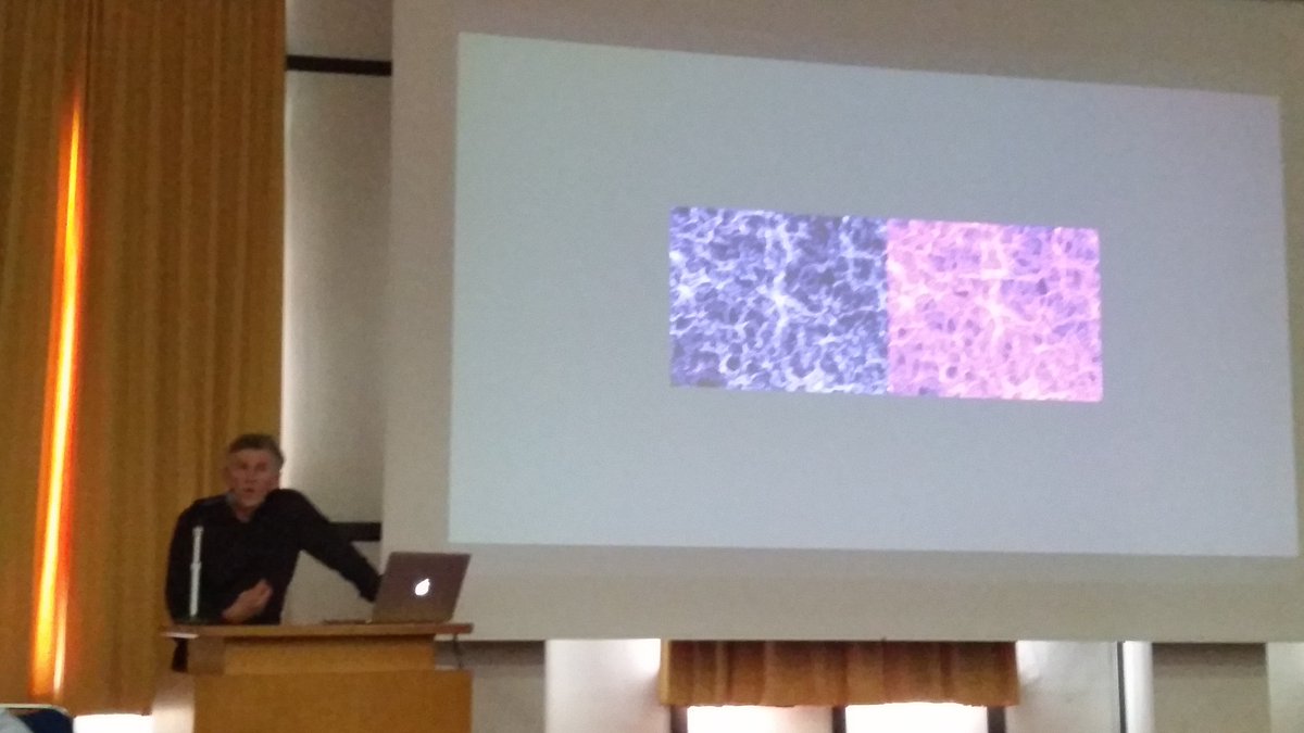 jdelhaize's tweet photo. Inspiring talk today by Karel Nel, the @cosmosastro artist-in-residence, about the intersection between art and astro/science #cosmos2017 https://t.co/LIbfRdhtPK