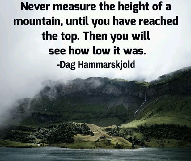 MKMMAMichael's tweet image. 