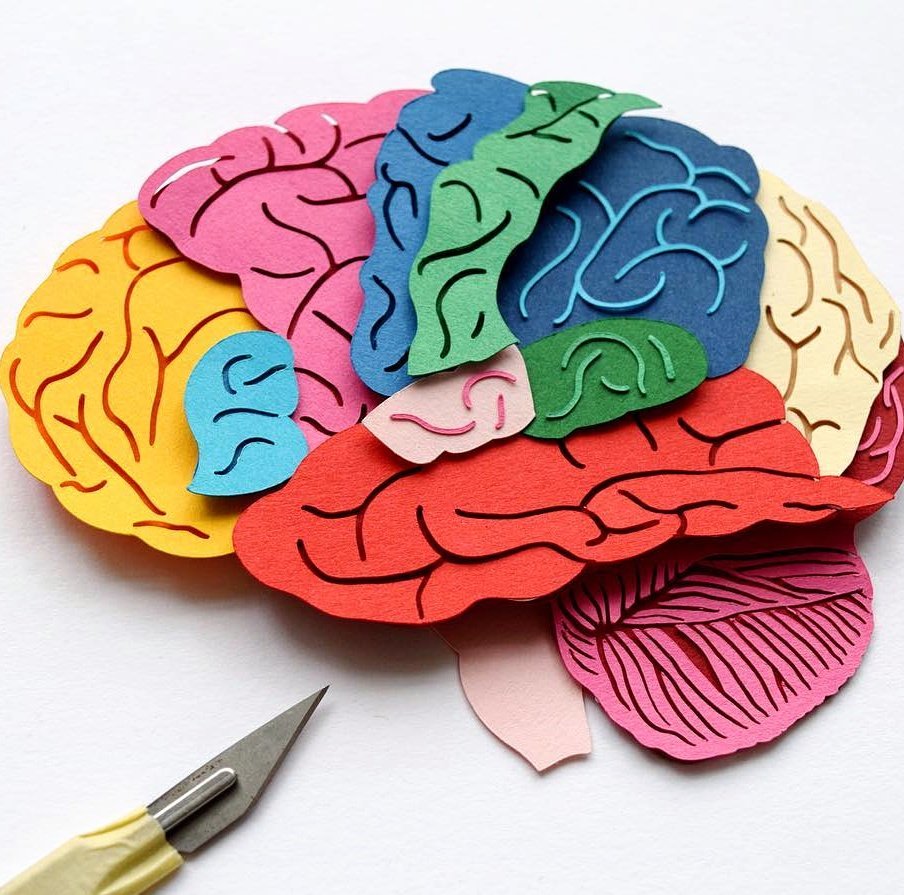 MindfulSTHLM's tweet photo. By focusing #attention we can positively alter the structure of our brains to reduce #stress &amp; improve emotion regulation &amp; #compassion. https://t.co/nzGXhkvfpz