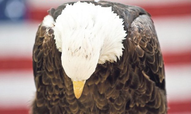 If you're just waking up, the president is on foreign soil attacking US intelligence patriots, the American free press &amp; former presidents.