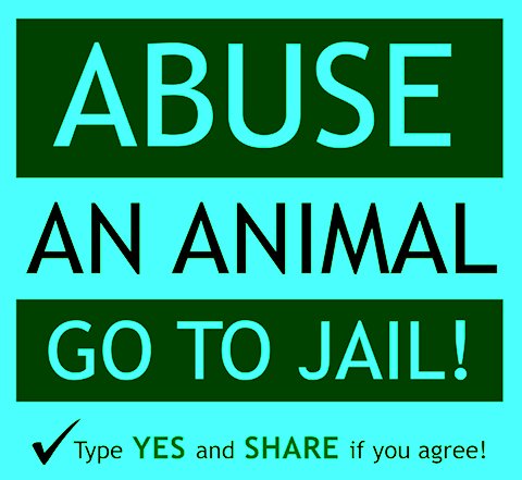 the_petsworld's tweet photo. Agree #share #love #pets #jail #ThursdayThoughts https://t.co/wBn9oJszL4