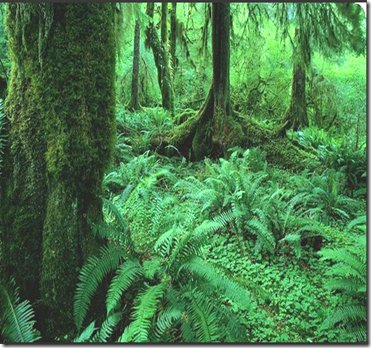 PointsGroup's tweet photo. Explore "The Green Effect" and how a color can enhance creativity. https://t.co/39N63Idgig https://t.co/kmXve9Z3qG