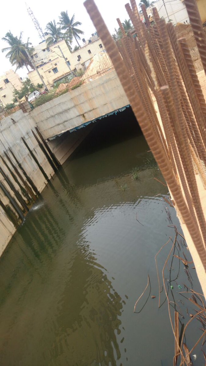 abhijithn's tweet photo. @PMOIndia @CMofKarnataka  @BBMP_MAYOR  Bangalore kodigehalli underpass. Dengue factory last 3 years. You are our last resort for help. https://t.co/WoCHRqreMU