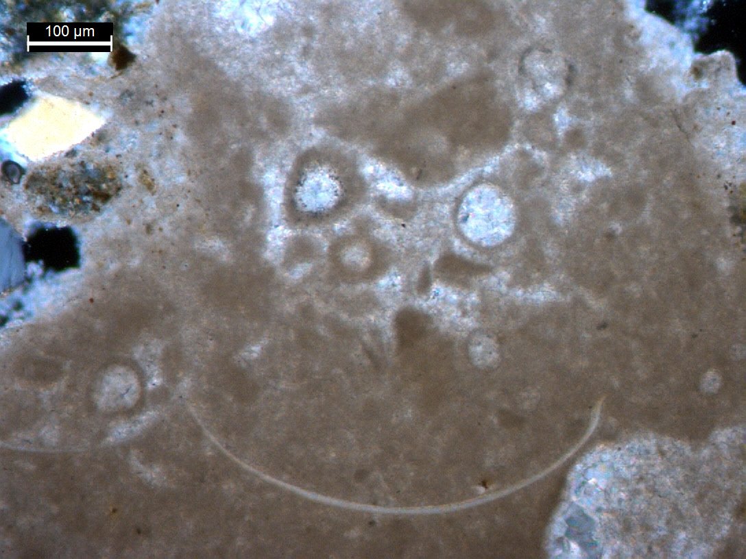 RSKPetrography's tweet photo. #MortarAnalysis of a sample from a very old bridge that local lore says is haunted. #ThinSectionThursday https://t.co/vLQVPlDdaB