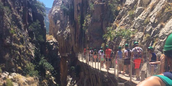 BigOrangeGuides's tweet photo. There's more to Malaga than meets the eye! https://t.co/2Q1vtpfx5F https://t.co/MgjzvrJfWl