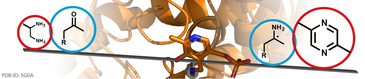 EurJOC's tweet photo. Our author Kroutil speaks #ESOC20, read his latest EurJOC full paper on Enzyme catalysis #freetoread https://t.co/edaG2eiSyT https://t.co/Rzo2WwJTS8