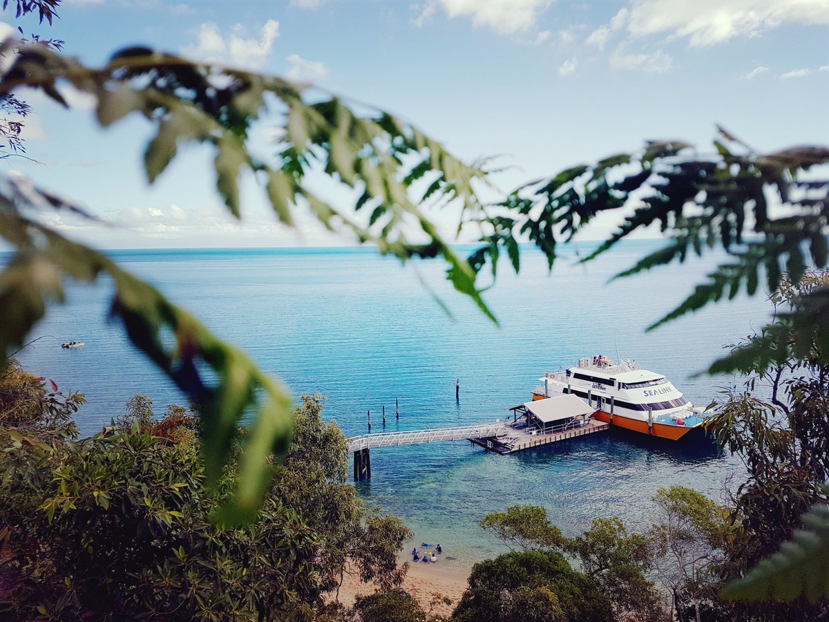 SeaLinkQLD's tweet photo. It's all happening this July with @SeaLinkQLD!  And the whales are here! Check out our Great Value Day Tours here: https://t.co/u4d7CkJ3Wk https://t.co/gF7vm0pCFR