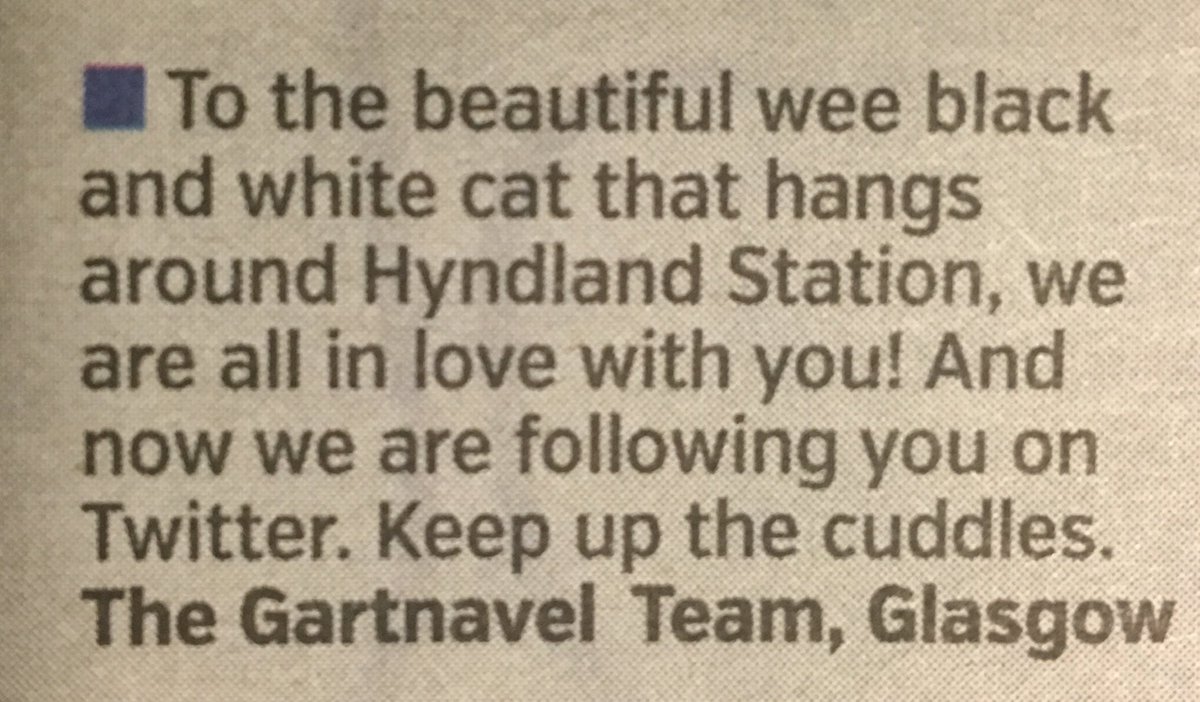 HyndlandStCat's tweet photo. Nice to be appreciated in today's Metro! Can't blame you humans - I am very beautiful 😻 https://t.co/ekmC6ghaXc
