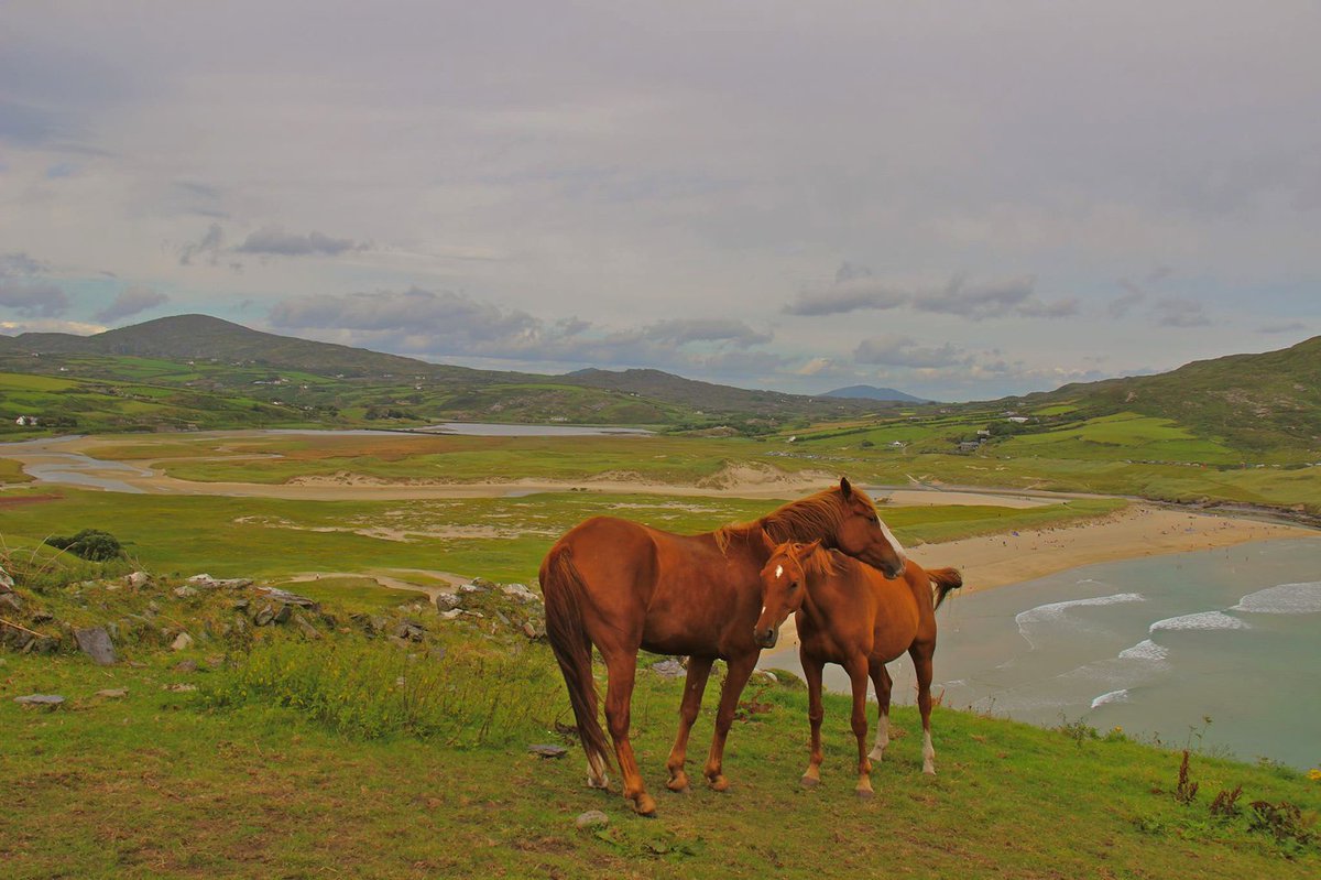 Barley Cove, #Cork
