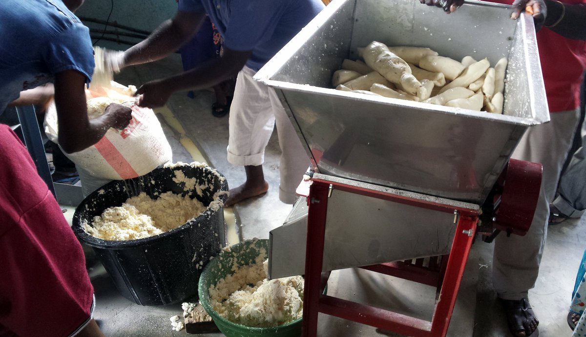 CVM_APAtanzania's tweet photo. @CVM_AN activities in #Bagamoyo District, #Training on Cassava processing with #factory machinery for 30 people, #women and men. @FOCSIV https://t.co/jbVAcNEMMN