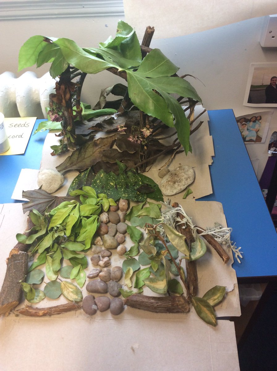 AHPA_Year1's tweet photo. 1W's amazing homework projects. 
Woodland homes made by Dominic, Lacey.T. And Imogen. @AHPA_Year1 https://t.co/GBlCJmKUJz