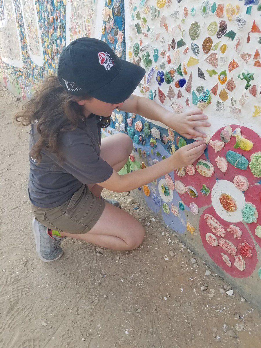 videoactivism's tweet photo. Paving the way to peace. ✌🏼️#PathToPeace #NetivLShalom #NetivHaAsara https://t.co/ZjVLlK3dlG