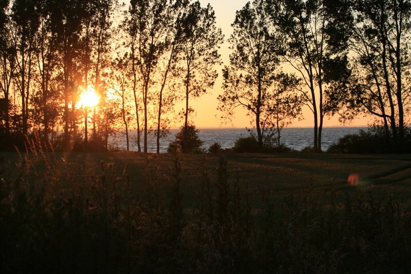 cesartgil's tweet photo. La naturaleza tiene el mejor Marketing! @sbinefa @gicavallo @inakimkt @ignacio_conejo @CecyMezaBaides #MarketingDigital #FelizJueves https://t.co/HEILZtteyo