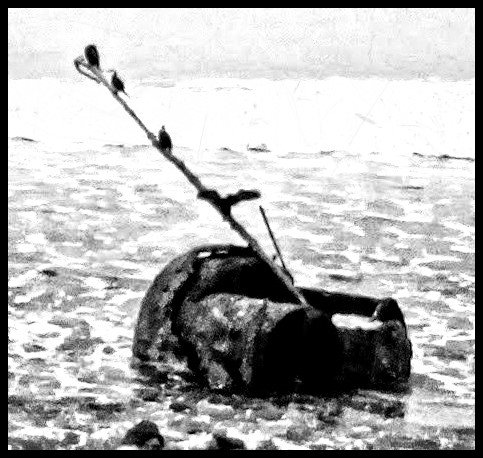 RevVesta's tweet photo. #photo #modified #drawing #editor #InPixio Photo Editor https://t.co/bcuZThm7PP