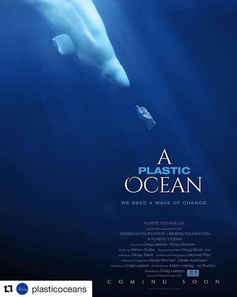 Found At Sea tweet media