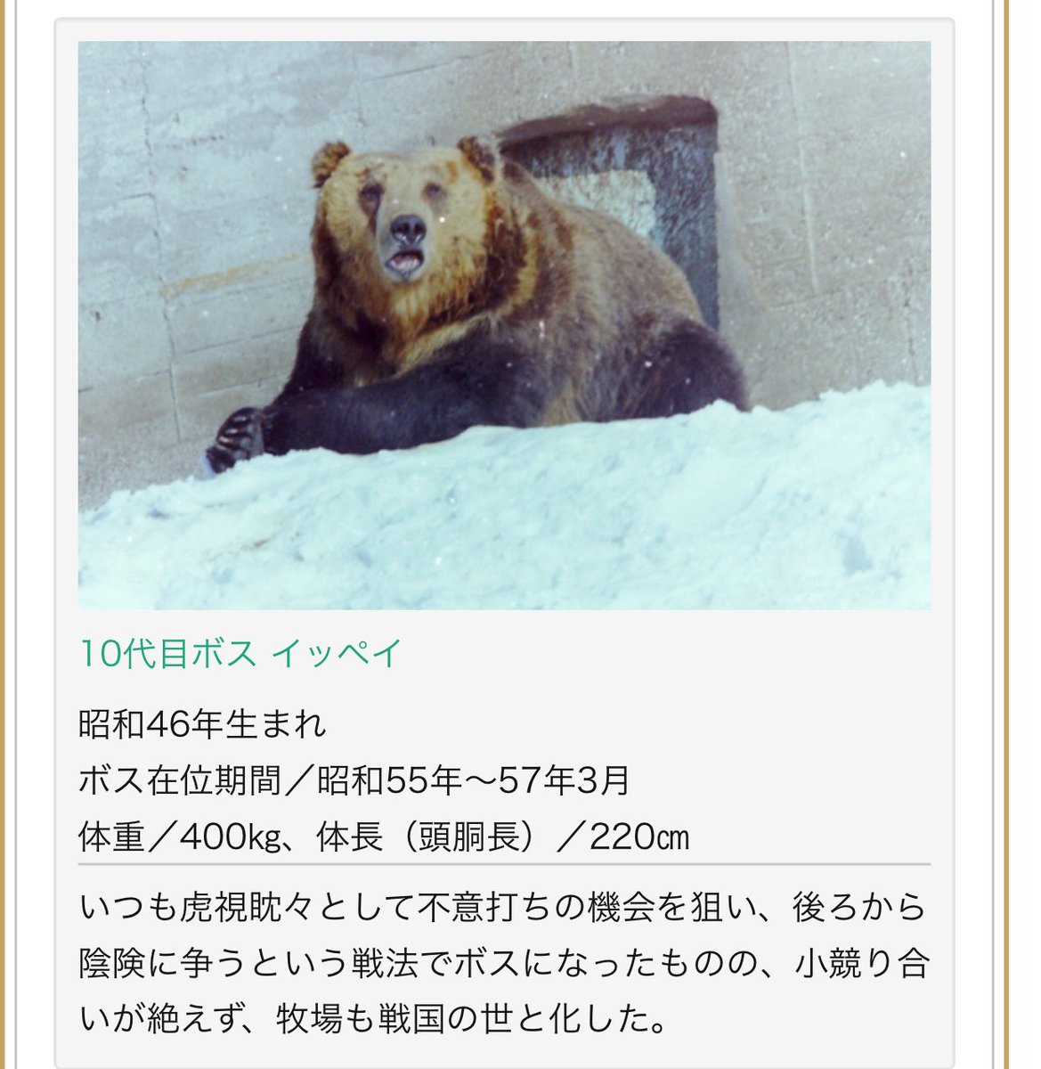のぼりべつクマ牧場の歴代ボスの紹介が独特すぎて爆笑 極道の覇権争いか 行ってみたい Togetter