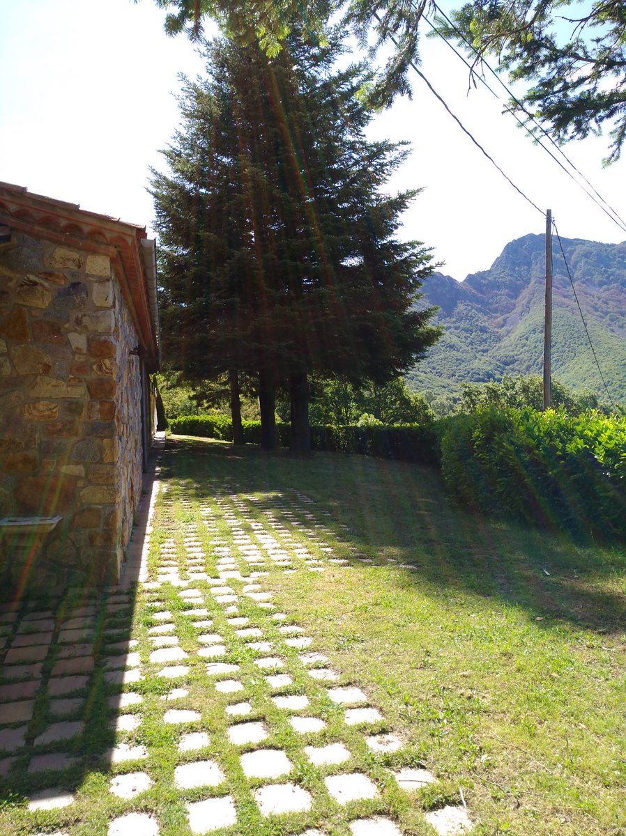 Santmarcal28's tweet photo. El sol del matí ens deixa imatges com aquestes... gaudir d' aquest paratge no té preu! #montseny #estiu https://t.co/HvROhsZBYn