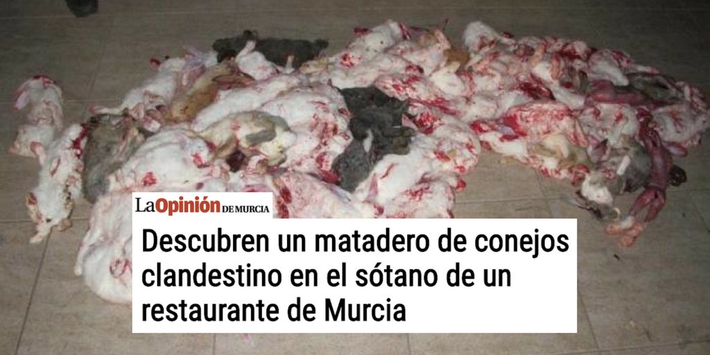 PartidoPACMA's tweet photo. Se procedió a la clausura y al cese de la actividad de este matadero clandestino por un delito de maltrato animal https://t.co/9NzddDam6V https://t.co/8faHoGxbge