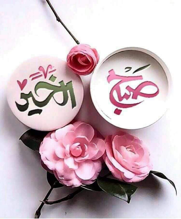 Hesham_Mhmed's tweet photo. @Rasha42660919  https://t.co/RSC1mGGBln
