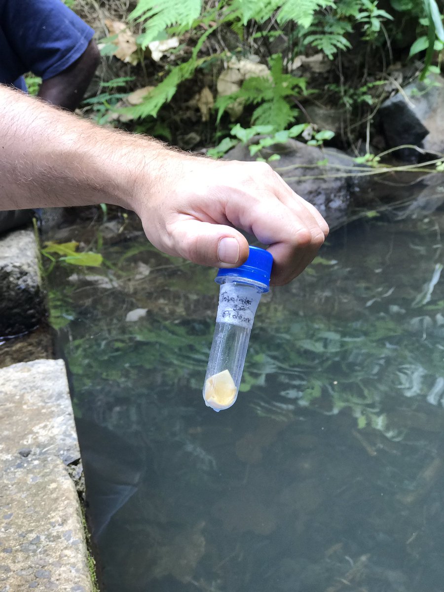 According to Nairai village nurse, cases of diarrhea &amp; dysentery has stopped since installation  of the bio-sand filters thru <a href="/WaterPacific/">Rotary Pacific Water</a>