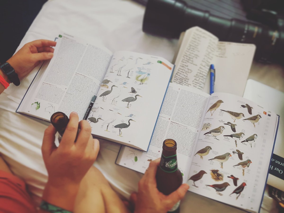 CavalloDelMare's tweet photo. Setting the tone for our 17 day post- #AMSA2017 holiday in #thetopend
Sure #AustralianBirdGuide is heavy but we still wanted our own copies https://t.co/Gz6V8FHirP