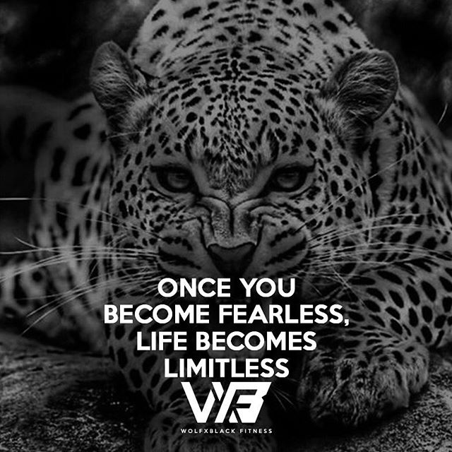 NotionDesigns's tweet image. Reposting @wolfxblackfitness:
Do not let your fear of failing stop you from chasing your dreams.