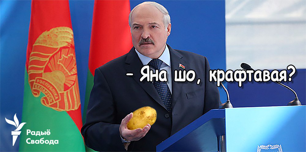 Янукович подал в ГПУ заявление о госперевороте, - адвокат - Цензор.НЕТ 9699