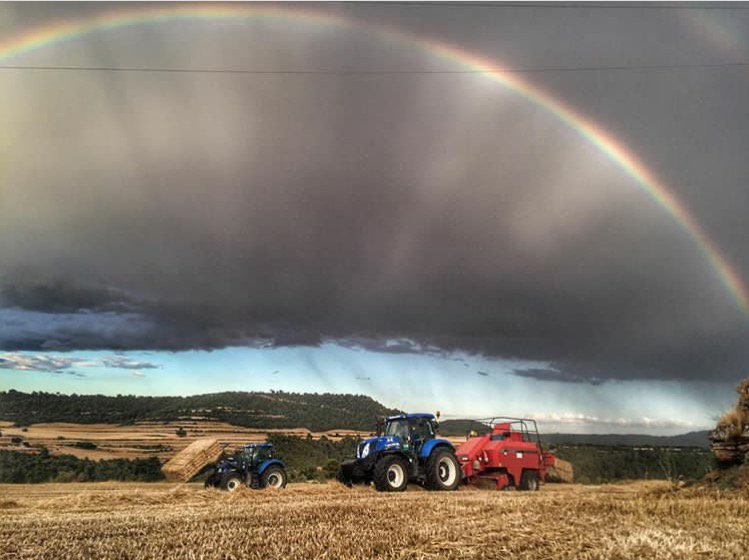 Orgull pagès tweet media