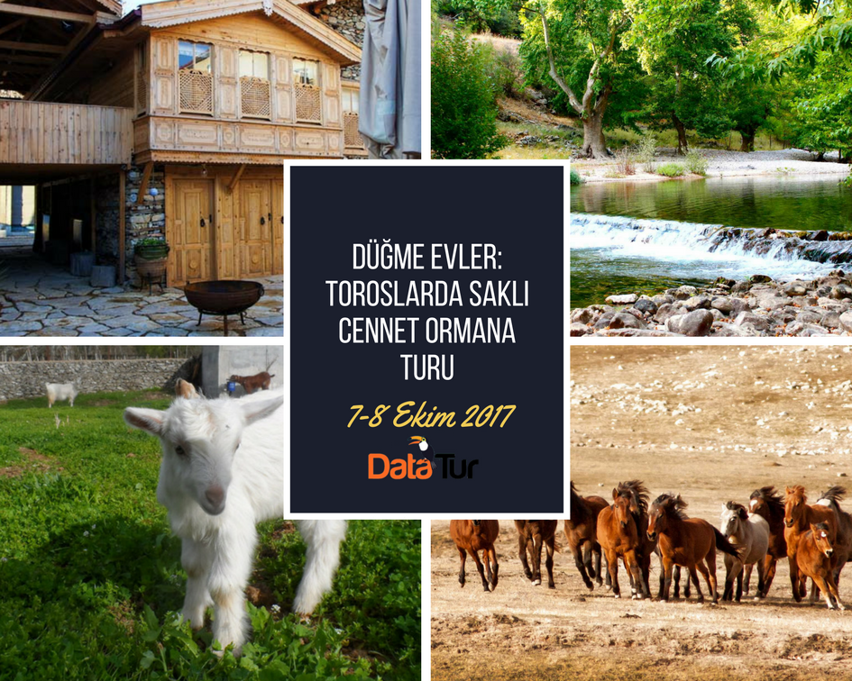 Düğme Evler: Toroslarda Saklı Cennet Ormana Turu... facebook.com/events/1455826…