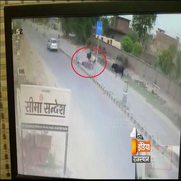 1stIndiaNews's tweet photo. दो बैलों की लड़ाई में बाइक सवार को गवानी पड़ी जान, देखिए वीडियो
https://t.co/yehGiGJATI
#Sriganganagar #Rajasthan #BikerRider #Bulls https://t.co/6aHI95abXx