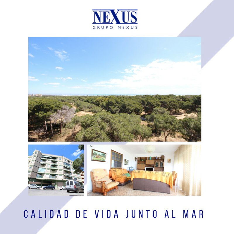 GRUPONEXUS2006's tweet photo. Disfrutar estas vistas a 500m del mar, ¿hay algo más renovador?
Hazlo posible en https://t.co/2xEHhROMrP #GrupoNexus #Costablanca #Guardamar https://t.co/EJ00iqGtdo