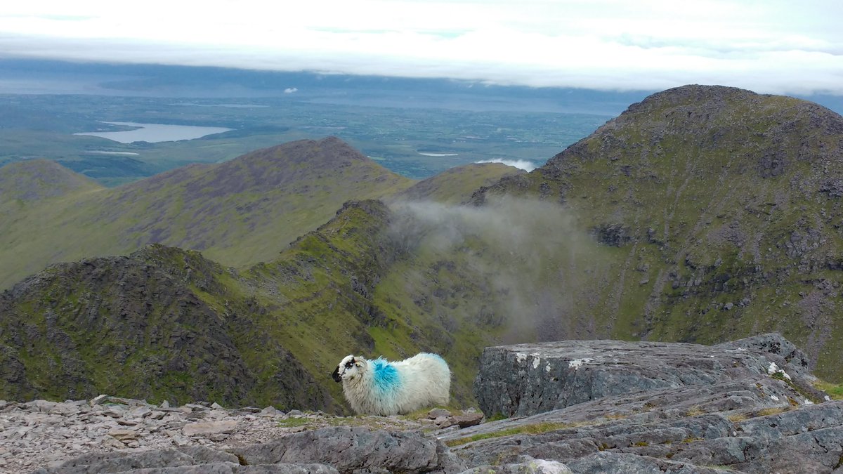 CARRAUNTOOHIL1's tweet image. July 6th, #Carrauntoohil