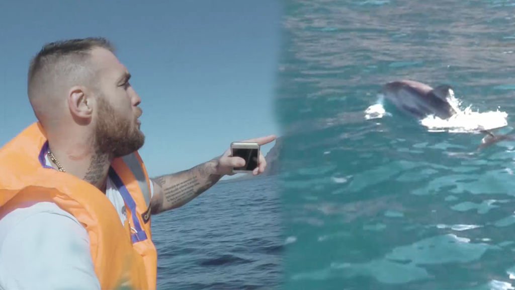 ¿Qué sentido tiene un delfinario si se puede disfrutar de los delfines en mar abierto? bit.ly/2tsjUYZ