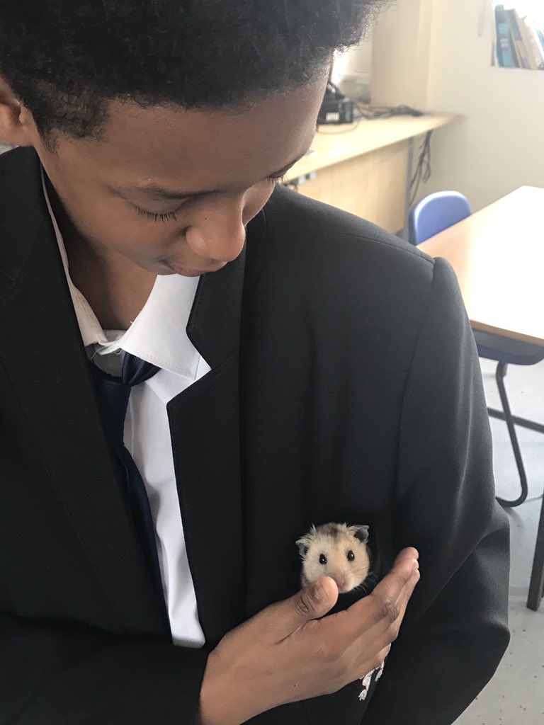 SirJaymoGriffin's tweet photo. Been pocketed by Dylan Murashiki this morning. Feeling cosy! ☺️❤️ https://t.co/6C9GySPOBi