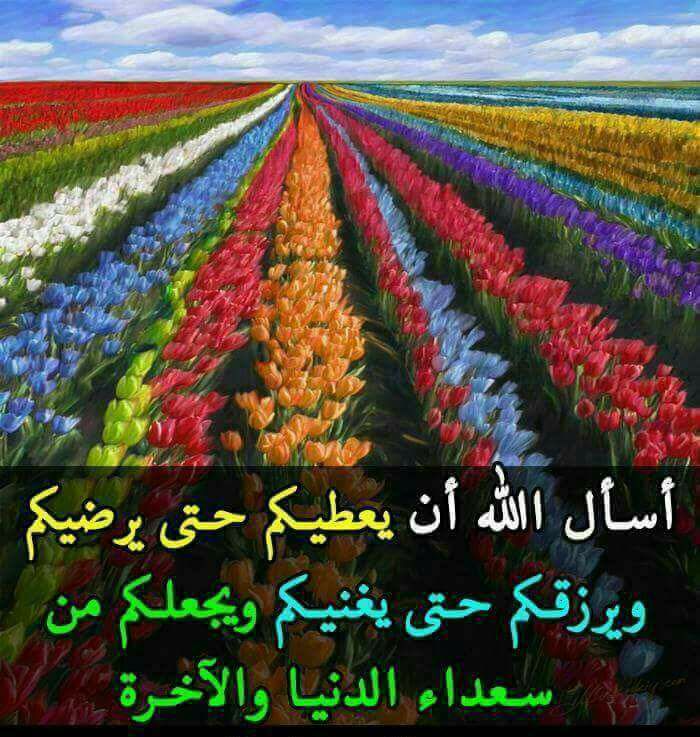 محامى حر (محمد) tweet media