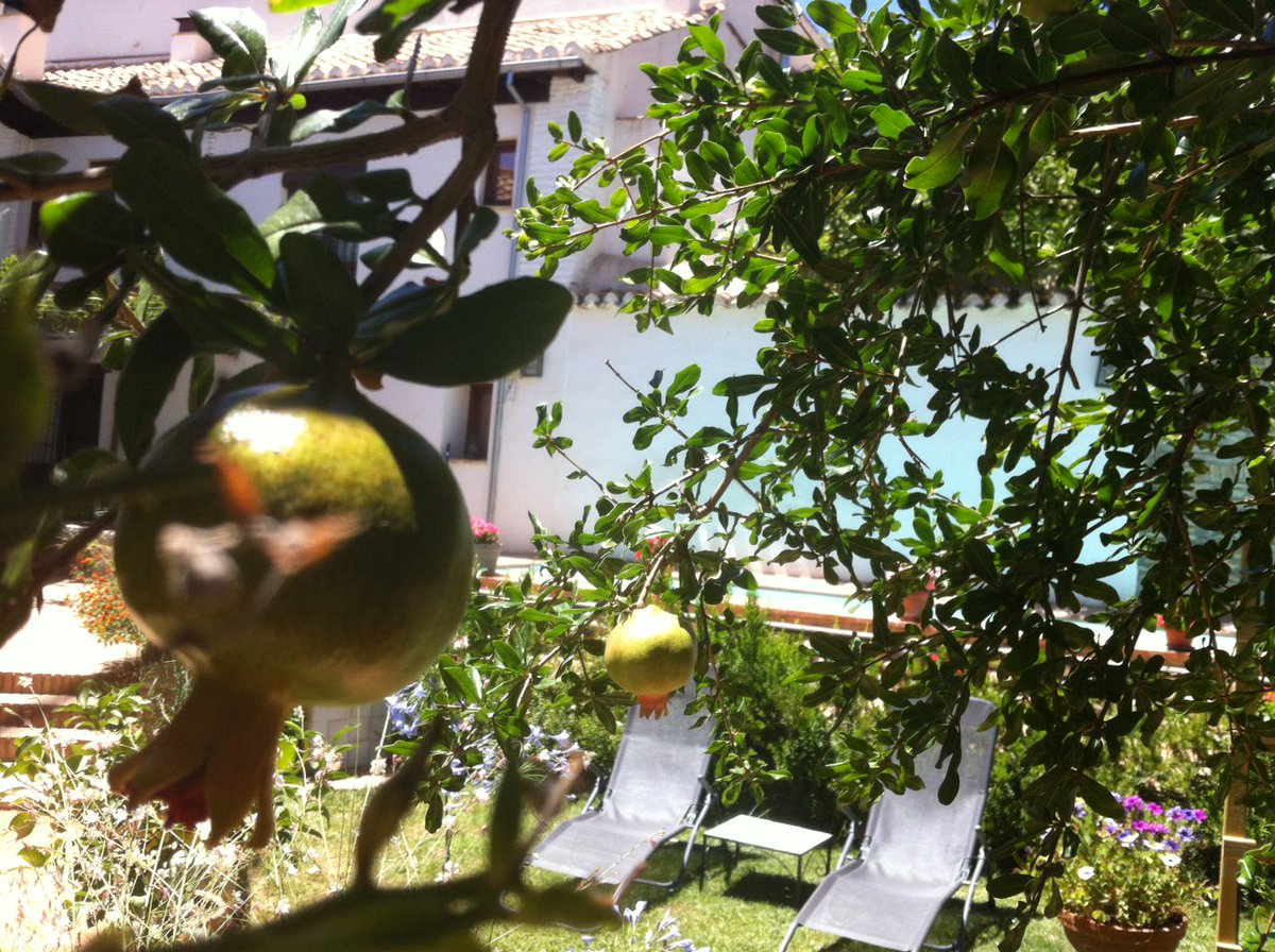 DeRamilla's tweet photo. ¡ El "Carmen de Ramilla" le desea un feliz verano 2017 ! https://t.co/wjAXeSQHOU