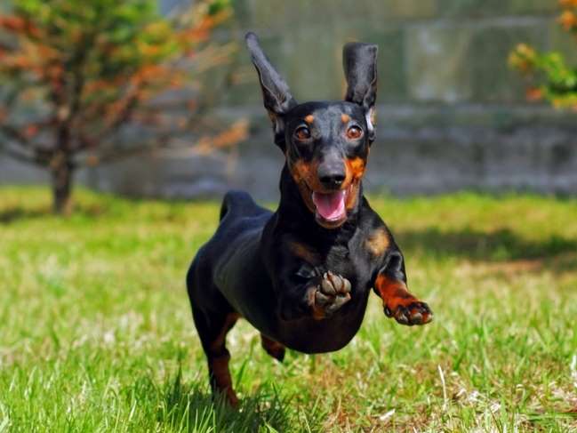 Saindo betaiada!!! Volto mais tarde!!!