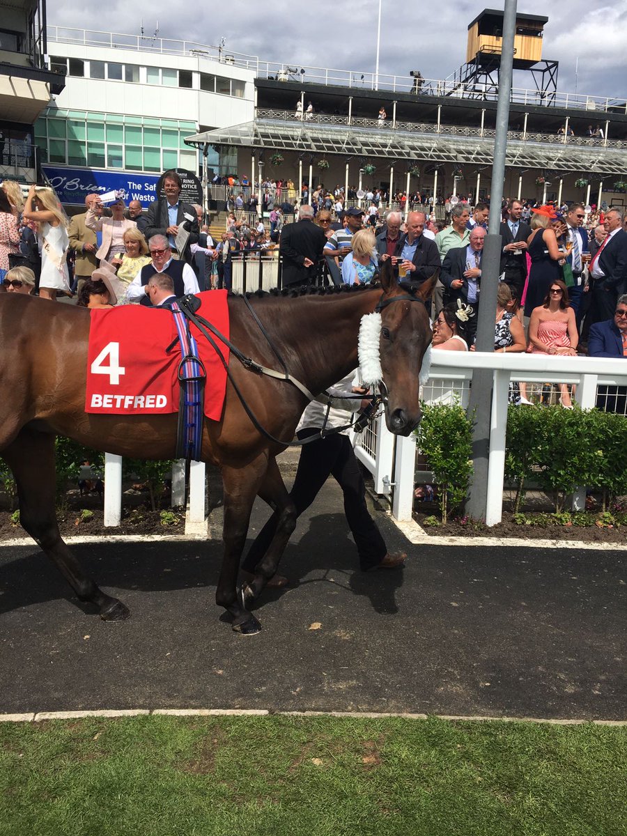 GrahamGrahas87's tweet photo. Still 10th in the European 6f standings, he's ran to 114 twice and still never mentioned. Trained by the best team 🏇💨 #Intisaabthemachine https://t.co/ufAq01Rn44