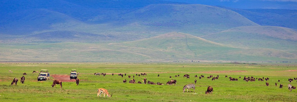 letsgosafari1's tweet photo. Check out our website https://t.co/N57TqKLkum and get the#Letsgoexperience DM us your email, no of pax &amp; travel dates and we make it happen https://t.co/mMPvqtevzT
