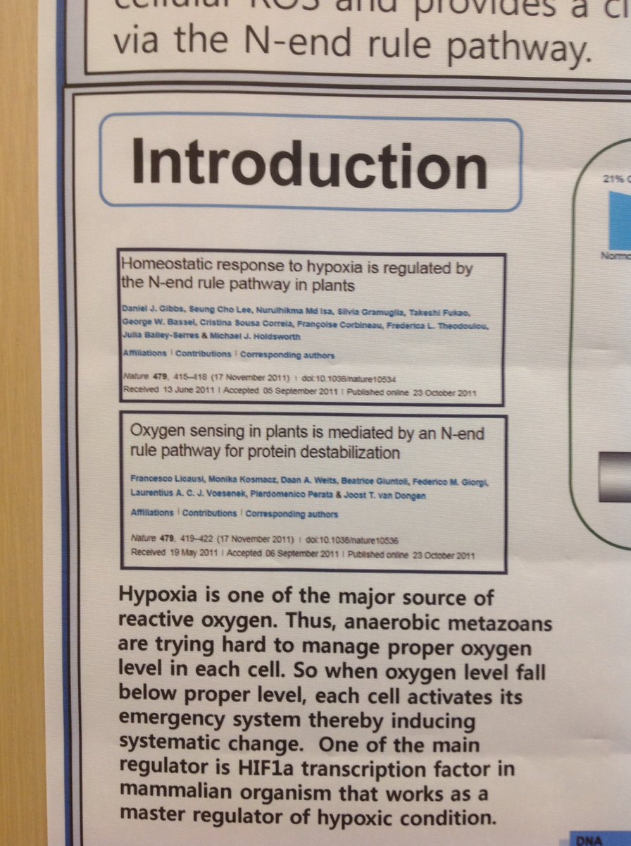 NDissmeyer's tweet photo. poster at #PMD2017 featuring plant hypoxic response via #cysteineoxidation coupled to #arginylation in mammalian context: #ERFVII➡️#RGS4 https://t.co/kzpLIXV7WJ