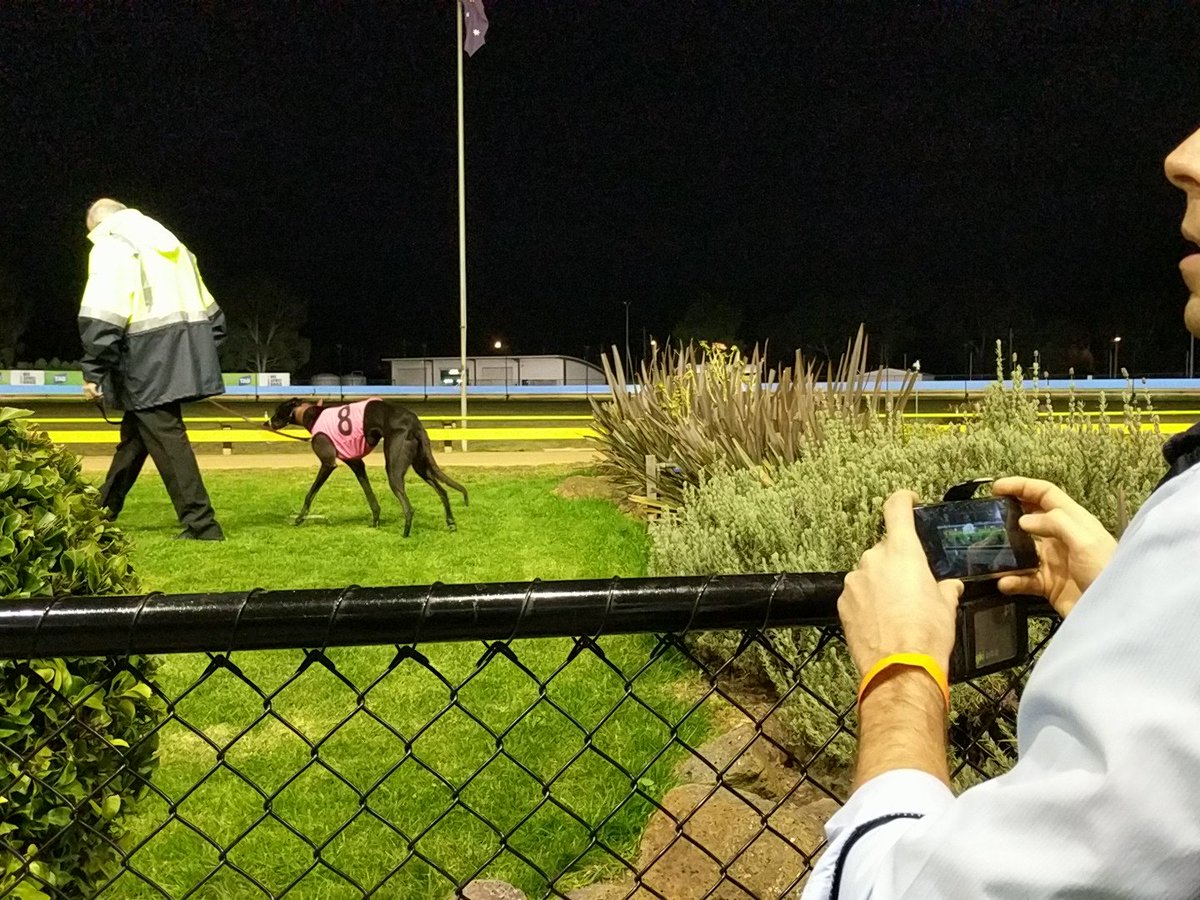 sandowndogs's tweet photo. #FlyingFernando like!
Punters taking the opportunity to snap a photo of Fanta Bale 🙌 https://t.co/qfQbdyj94M