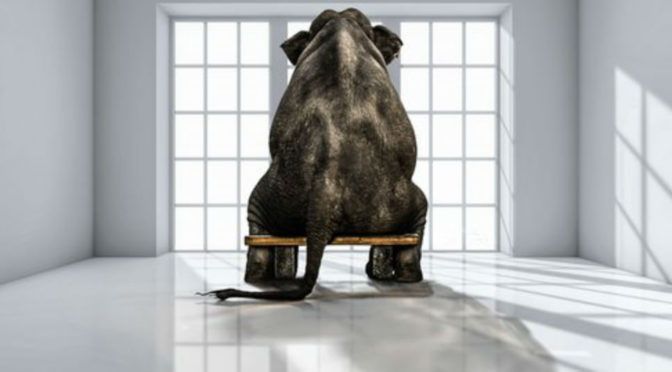 The elephant in the #supplychain room - How can we align the exec team for change buff.ly/2sFwAyw