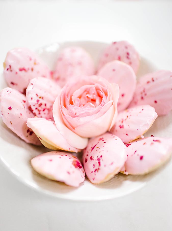 laurenconradco's tweet photo. These sweet little treats are the perfect partner for your afternoon coffee: https://t.co/CYSGwSzdbe https://t.co/542aPWCZTe