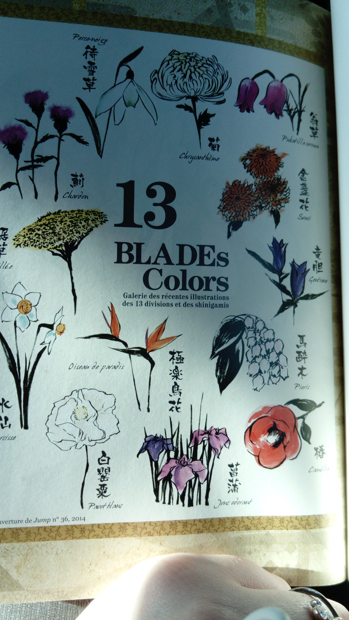 O On Twitter Bleach 13blades